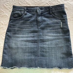 Democracy “Ab” Solution Denim Skirt